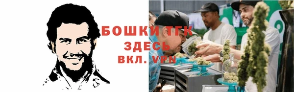 ешки Алзамай