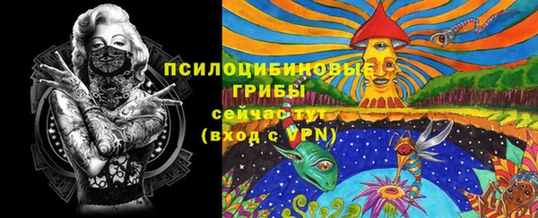ECSTASY Алексин